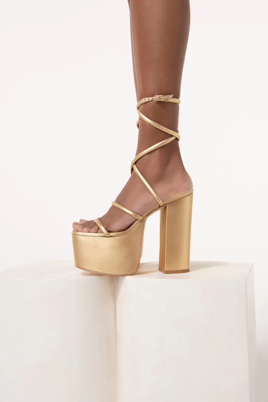 Hot Hyte Platform Women Platforms